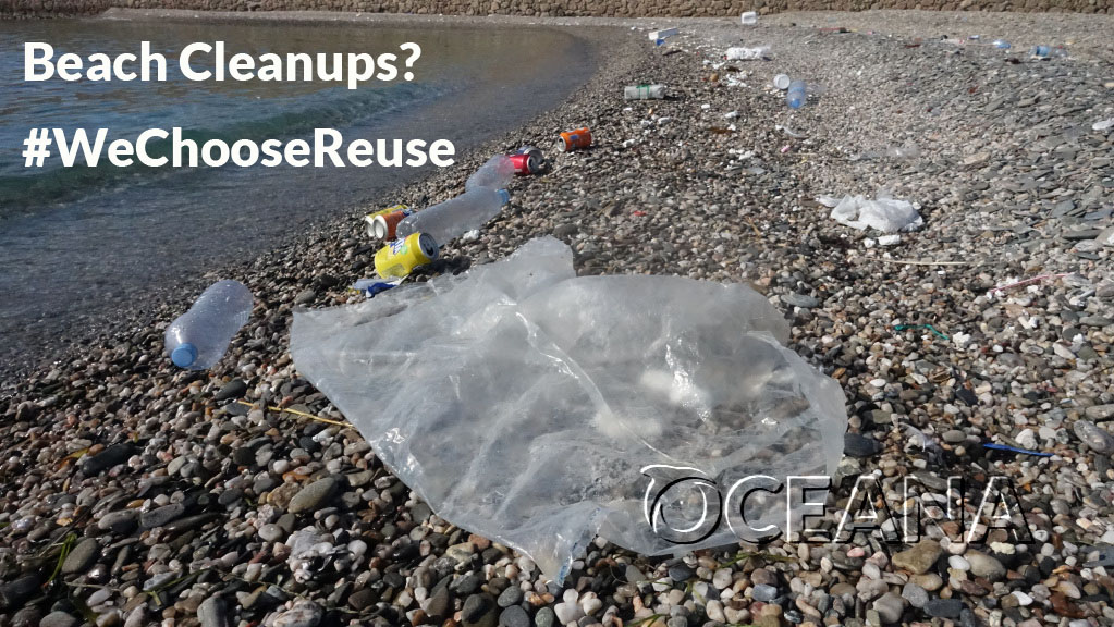 Oceans_Pilar's tweet photo. #EUBeachCleanup day🏖️ intended campaigning for plastic-free oceans but ...
@VSinkevicius @TimmermansEU, cleanups will NOT solve the plastic crisis at EU seas🌊
#PackagingDirective's review sounds like a perfect chance to implement stronger #REUSE measures to avoid #MarineLitter https://t.co/H886OAzzSC