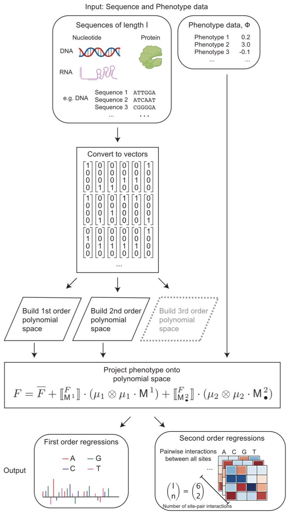 antisense. on Twitter: 