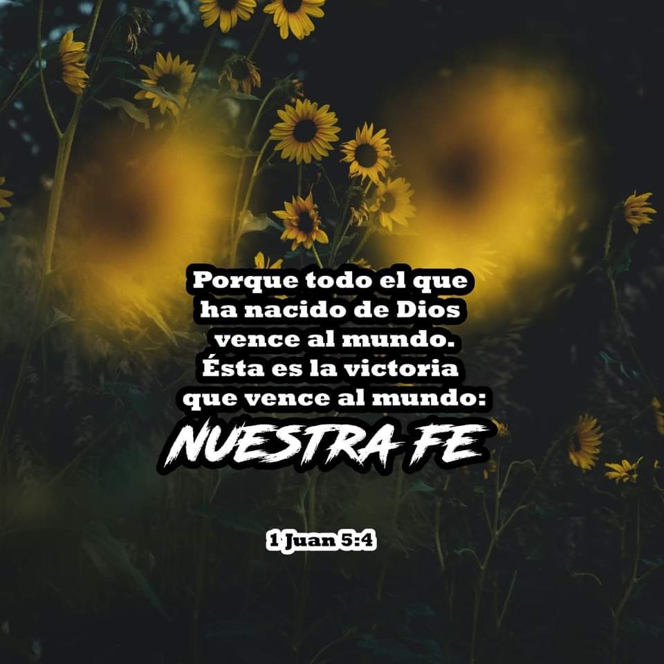 RadioVidaHN's tweet photo. Porque todo el que ha nacido de Dios vence al mundo. Ésta es la victoria que vence al mundo: nuestra fe. 1 Juan 5:4📖 

#versiculodevida 
#vidafm #conactitudpositiva 

106.5///94.7 📻 https://t.co/bfFd21tePT