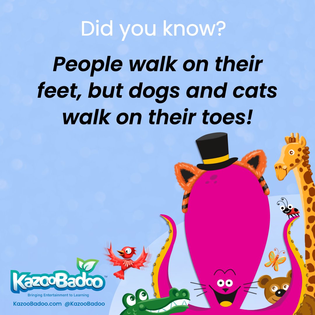KazooBadoo's tweet photo. Did you know that dogs and cats walk on their toes? Next time, when you see cats or dogs, watch how they walk! Learn something new at #KazooBadoo, an immersive #learningthroughplay #onlinegame for kids. https://t.co/66A8i7DjC4