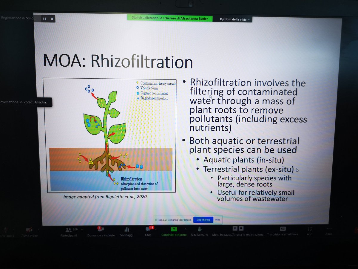 MarcoFalconi19's tweet photo. We just started Session 2 of Remtech Europe with Catherine Thomas about Phytoremediation. We are on air now, join us!

SESSION 2 - Phytoremediation training - https://t.co/OeHblGI7q4
SESSION 2 - to participate LINK https://t.co/JhJnroy6TZ https://t.co/hrS4gqaHnN