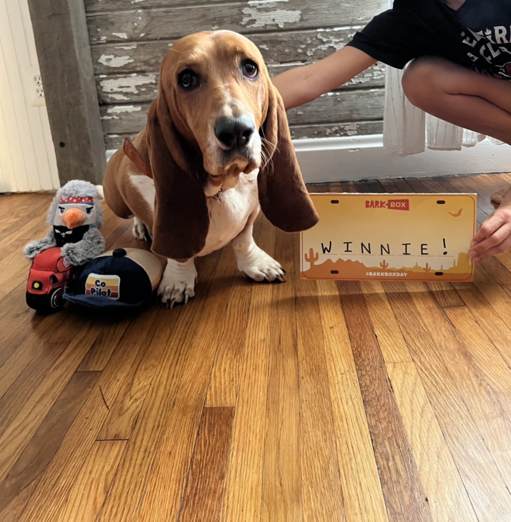 Celebrating Win every month with <a href="/barkbox/">BarkBox</a> #BarkBoxDay