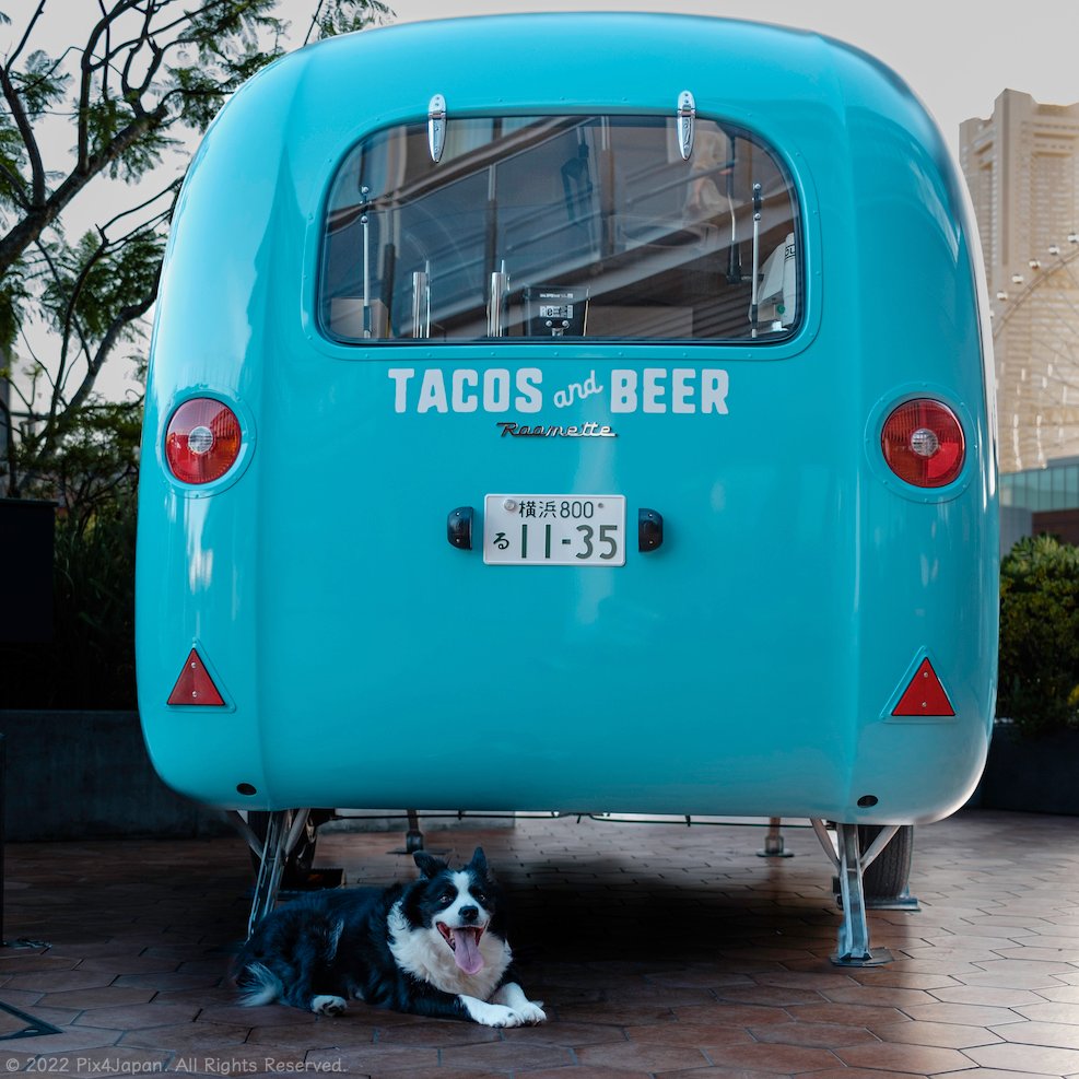 pix4japan's tweet photo. Roomette Food Trailer

Fujifilm X100V (23 mm)
① ISO 160 for 1/180 sec. at ƒ/2
② ISO 1000 for 1/160 sec. at ƒ/11
Classic Chrome film simulation

https://t.co/1EF8eUHz9B

#cityscapephotography #Roomette #PortofYokohama #ShinkoPier #Minatomirai #Yokohama #Japan https://t.co/TvudAwnh6S