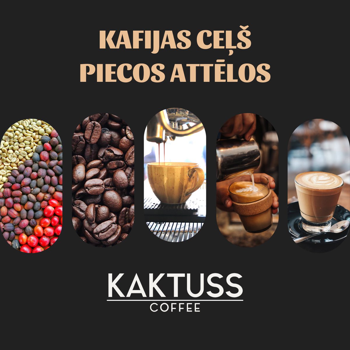 KaktussCoffee's tweet photo. 🌵☕ Kaktuss Coffee grauzdētā kafija pieejama jau pavisam drīz!

Mēs kafijas ceļu cenšamies samazināt pēc iespējas īsāku, lai jūsu kafija būtu pilnvērtīgi svaiga un garda, bez nekādiem liekiem piejaukumiem.

#coffee #kaktusscoffee #barista #kafija #coffeeshop #Riga #coffeebreak https://t.co/iUhZwNDEYt
