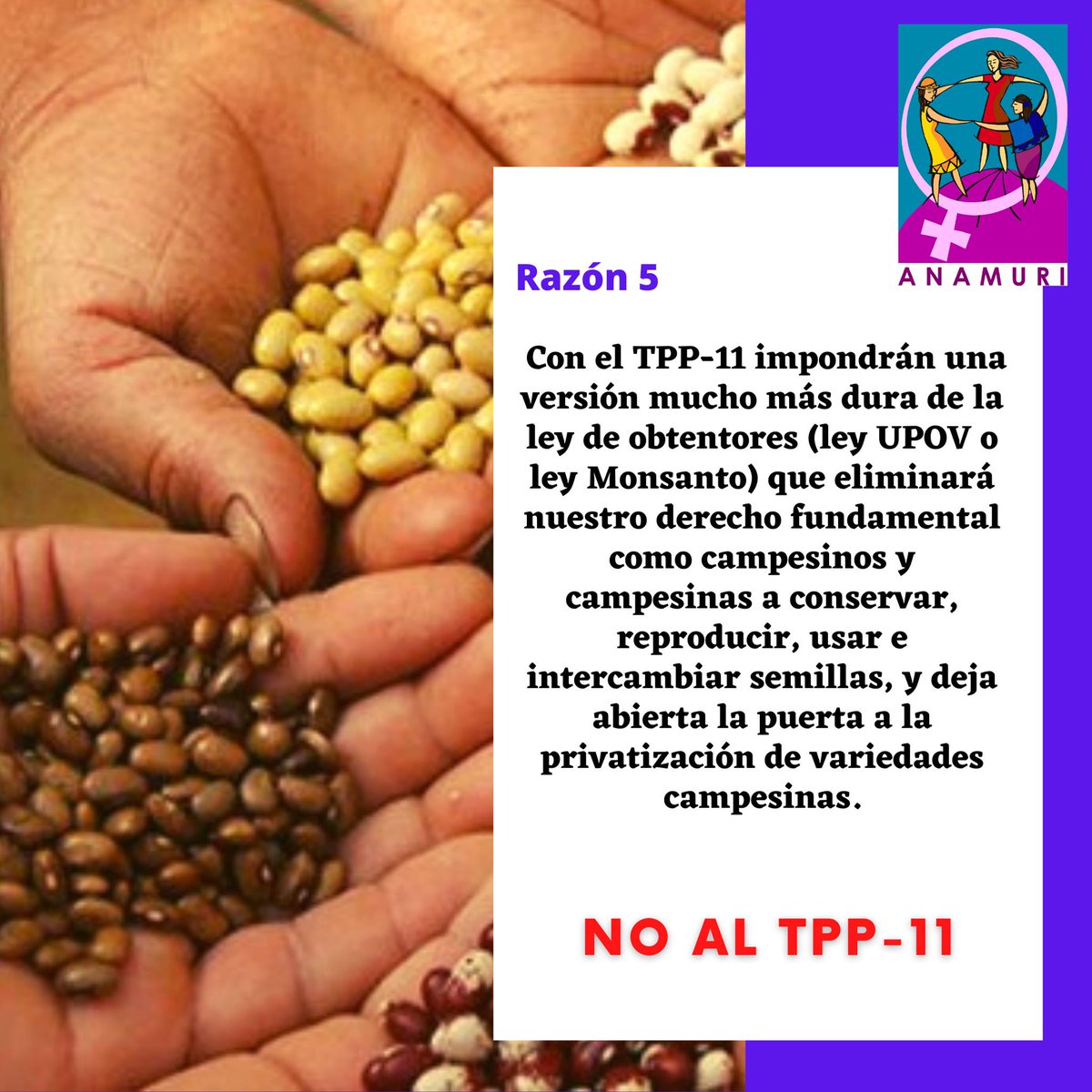 anamuriag's tweet photo. Chile dice #NoAlTPP11 Exigimos al gobierno de Gabriel Boric que cumpla con el mandato del pueblo y no de los empresarios #NOalTPP #ChilesinTPP #ChaoTPP11 #NomasTPP11 @gabrielboric @Carolina_Toha @Senado_Chile @JGMRadio @RadioPrensa #Anamuri https://t.co/mk2wdIgsrW