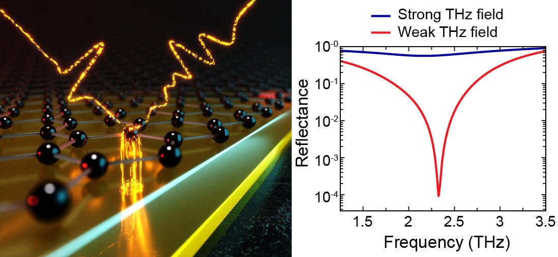 ACSPhotonics's tweet photo. The absorption and phase characteristics of a thin film graphene-based THz perfect absorbing device can be self-modulated in the subps time scale upon intense THz field excitation. @FORTH_ITE @OfficialUoM @MaterialsSciUoC #graphene #thz ⤵️https://t.co/axUHjnqEcv https://t.co/arIdMYYVJv