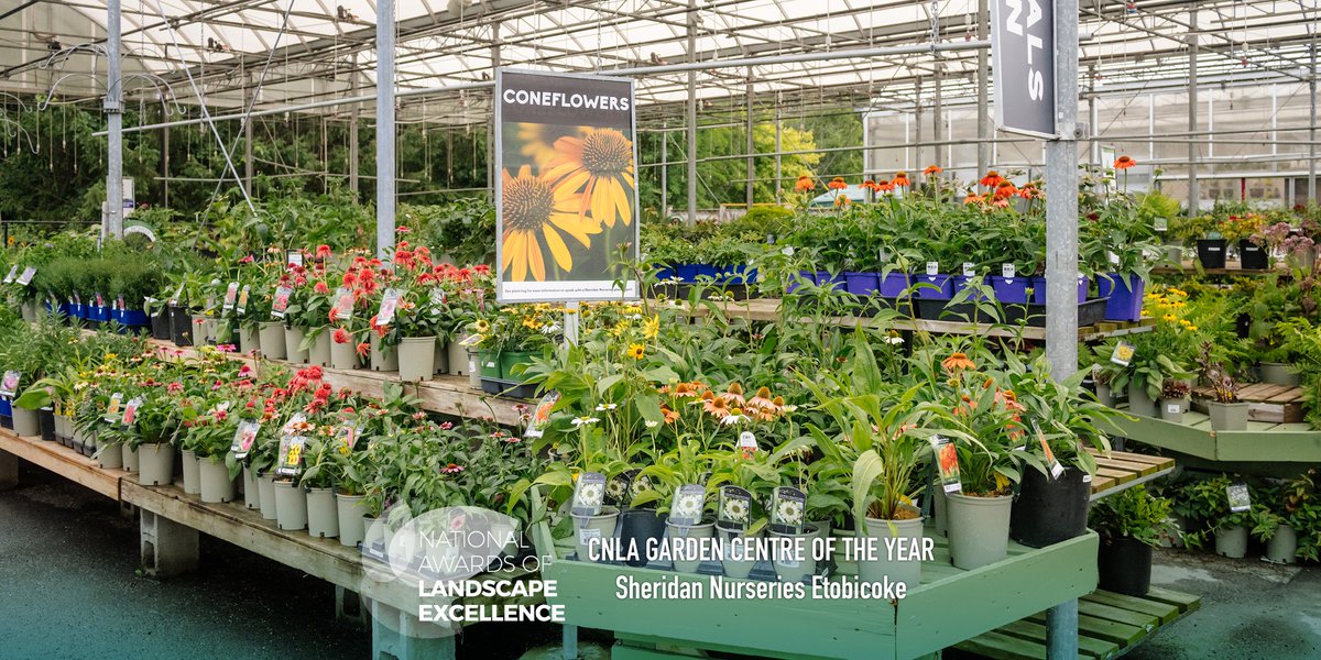 CNLA-ACPP tweet media