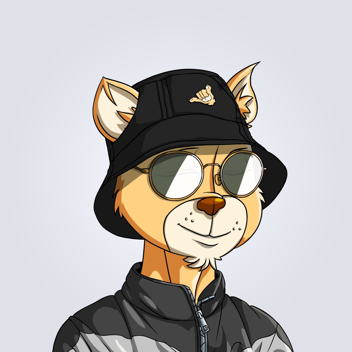 PXN WHITEBOX tweet media