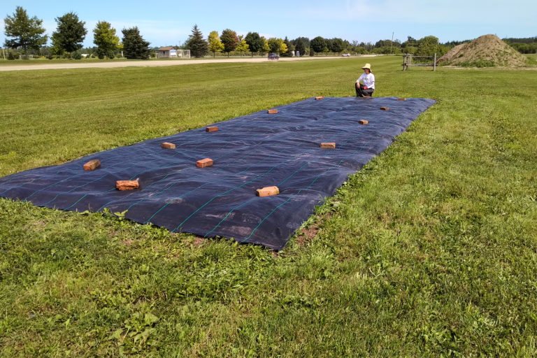 We're excited to be hosting two tree planting events this Saturday in partnership with TreeTrust TBM and the Thornbury-Clarksburg Rotary Club!

The events take place at 10 a.m. at Heritage Park and 2 p.m. at Delphi Point Park. 

Learn more: bit.ly/3BpjhTb