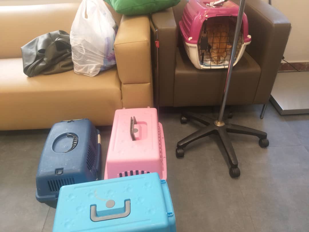 بهشت شیرین tweet media