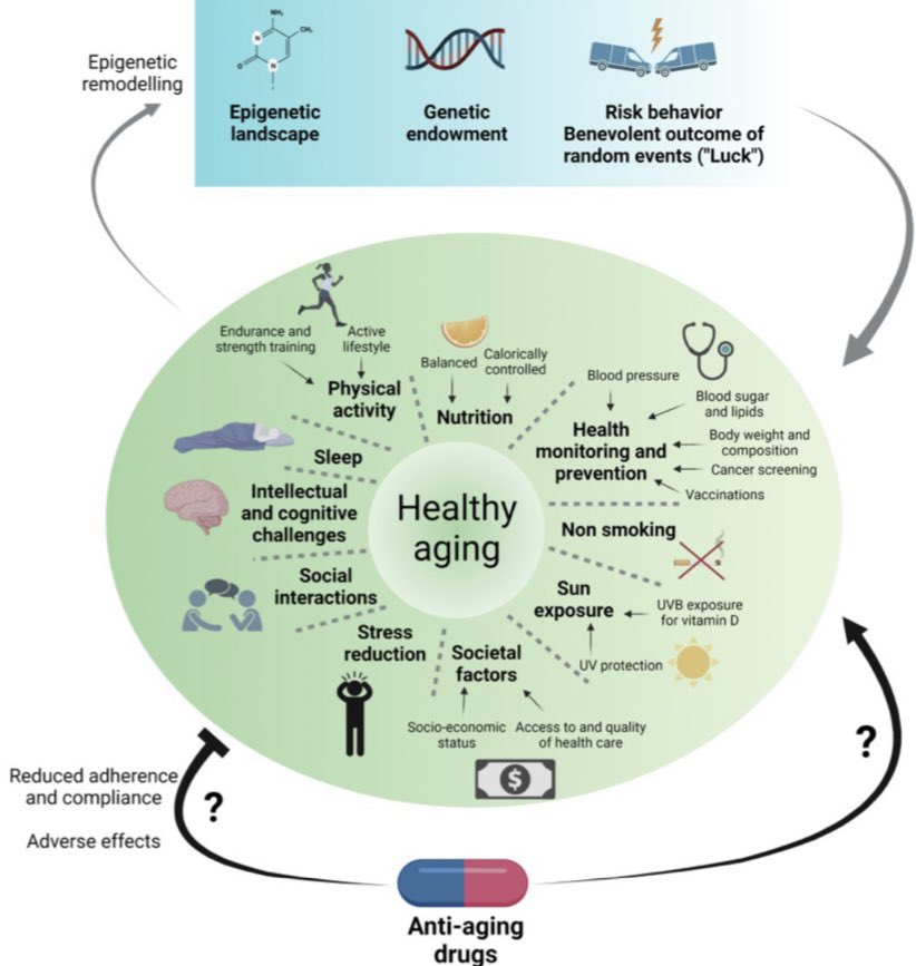 ChristophBurch's tweet photo. Drugs, clocks and exercise in aging: hype and hope, facts and fiction

Regula Furrer &amp; Christoph Handschin | J Physiol.
https://t.co/omOGkodBvT https://t.co/480fnbfzFk