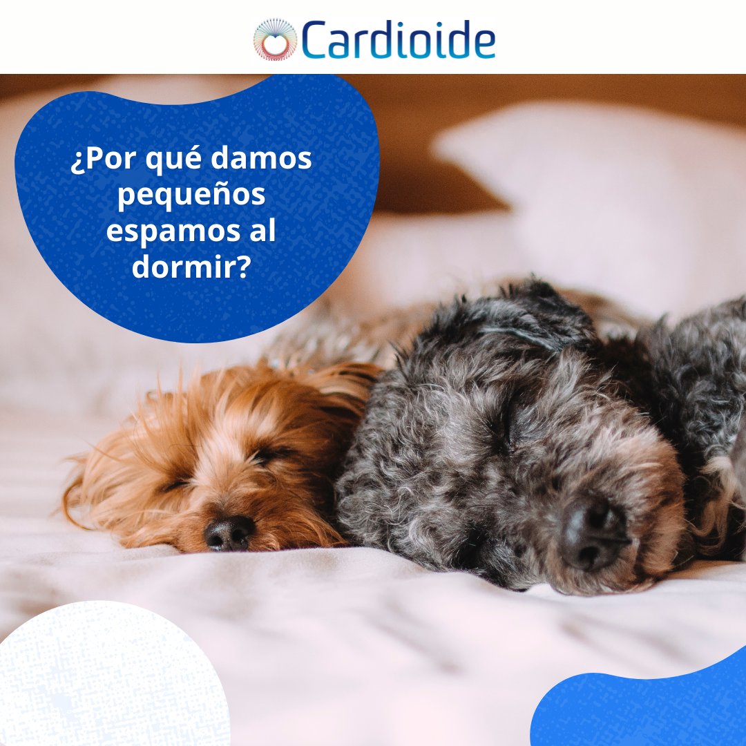 Cardioide3's tweet photo. ¿Alguna vez te preguntaste qué son esos pequeños espamos que tenemos al dormir 😴?
#espasmos #dormir #espasmosmioclónicos #sueño #descansar #cardioide #salud #medicina https://t.co/OOb361CdID