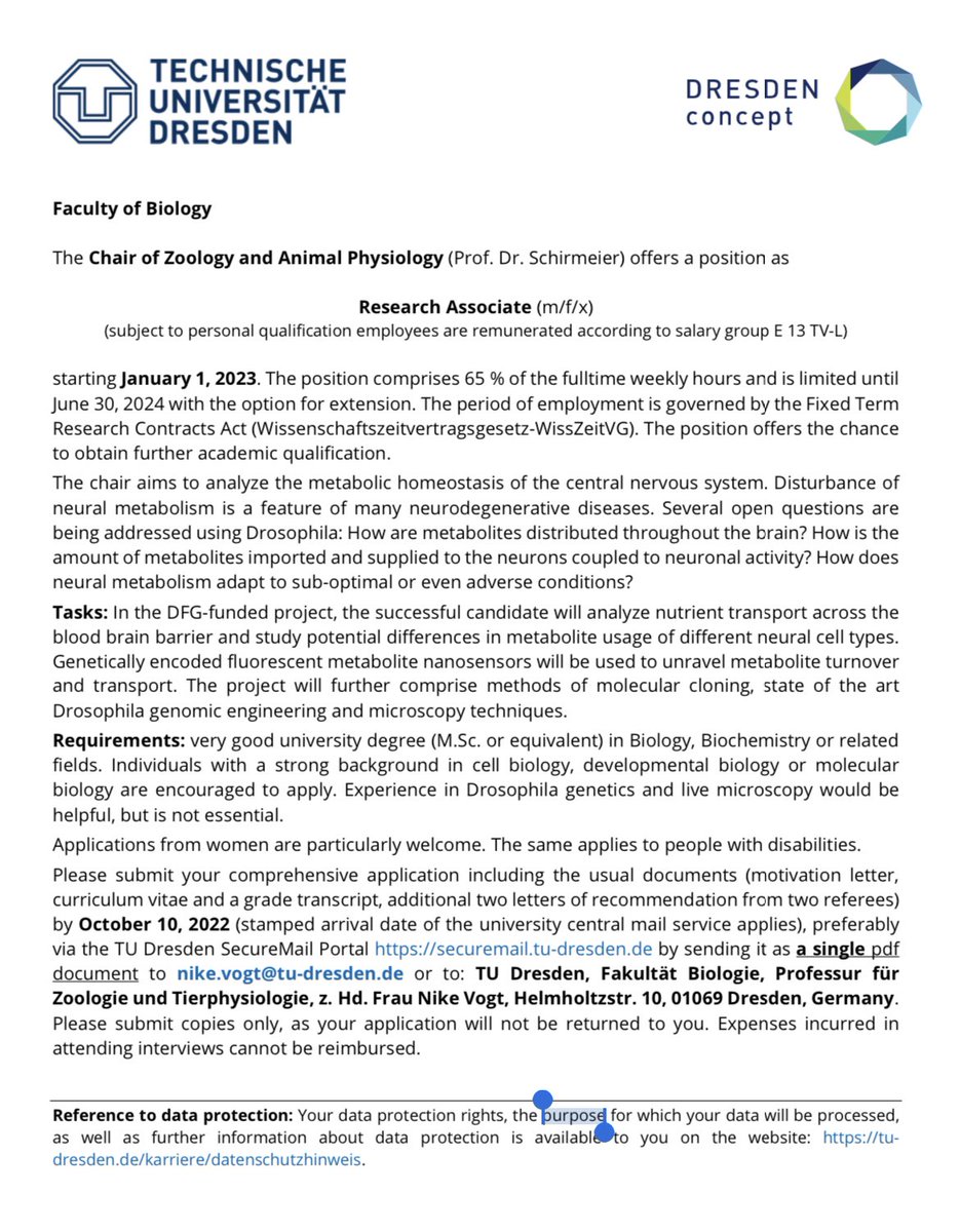 Interested in exploring the world of metabolic homeostatis in central nervous system …….. Then the good news is WE ARE HIRING!!!!

Don’t hesitate to get in touch with us 😊

#HiringAlert #Jobs #research #tudresden #ApplyNow #PhDposition #metabolism #brain #WeAreHiring