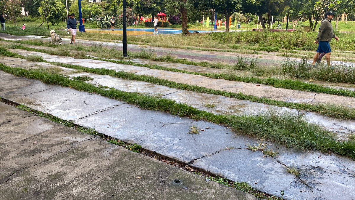 ludelfer's tweet photo. @giogutierrezag @Alcaldia_Coy @PaseosdeTaxquea se reitera la solicitud para que le den mantenimiento a las explanadas del parque de las montañas, me parece un pretexto la “poda inteligente” en guarniciones y explanadas. https://t.co/S89GAANjpf