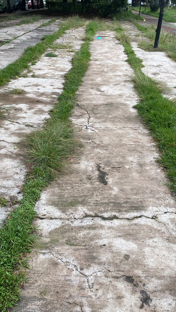 ludelfer's tweet photo. @giogutierrezag @Alcaldia_Coy @PaseosdeTaxquea se reitera la solicitud para que le den mantenimiento a las explanadas del parque de las montañas, me parece un pretexto la “poda inteligente” en guarniciones y explanadas. https://t.co/S89GAANjpf