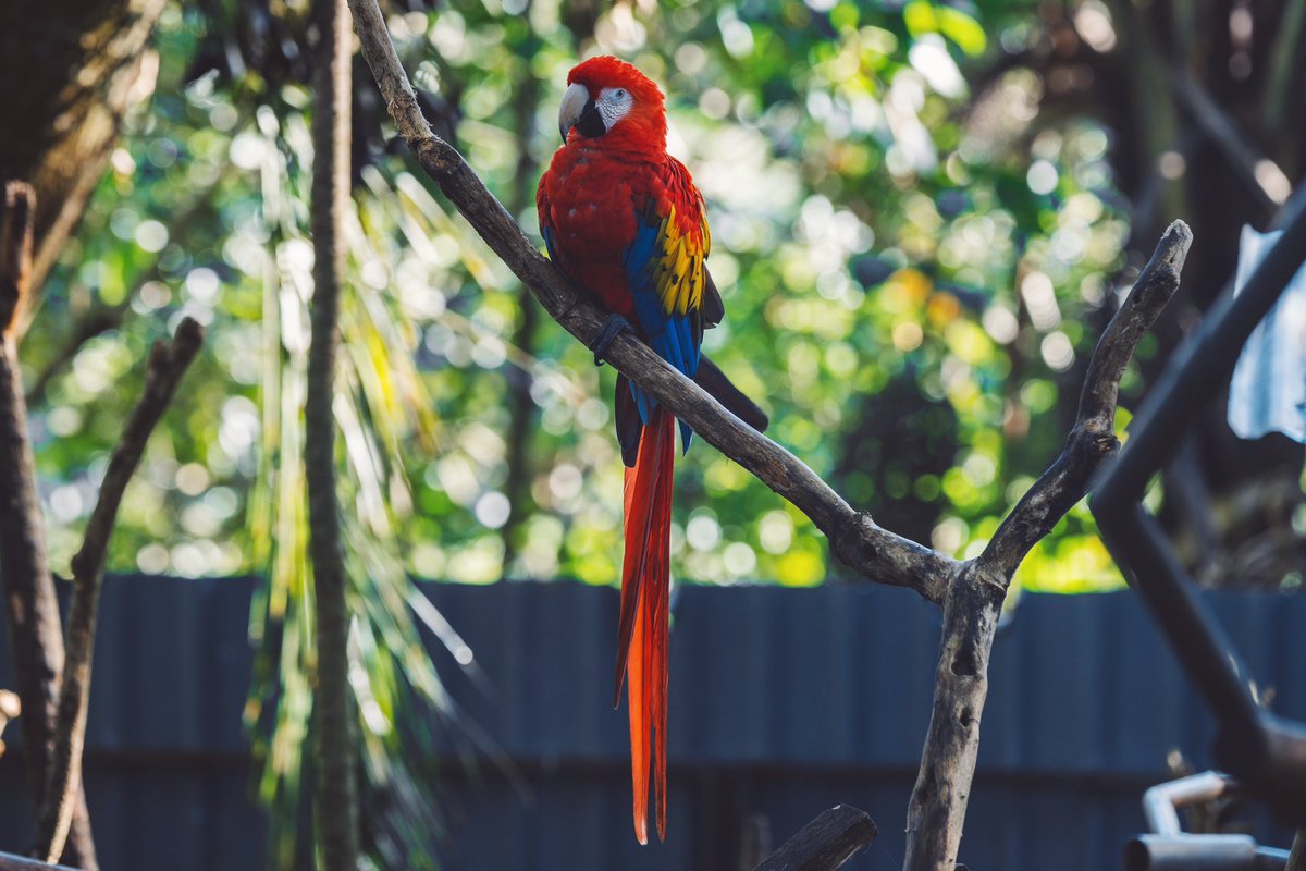 Been here less than a month, but the beauty of Costa Rica is easy to see! Gm everyone, have a great week 🙌🏼