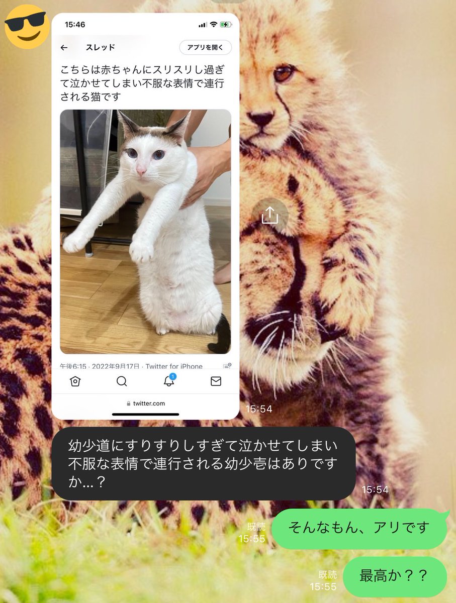 ひとりっ子の壱にとっては、幼い頃から道は宝物でした☺️

私より私の見たいものを分かっている古からの友人より。
かわいい… 