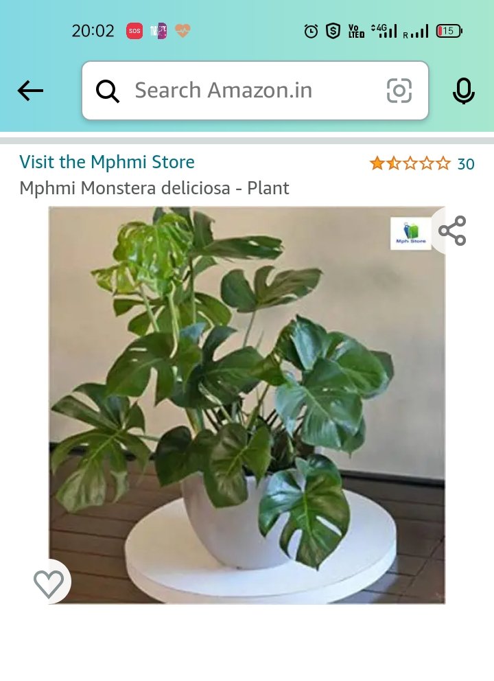 waseru23's tweet image. @AmitAgarwal hey Amit, see how your team is doing, received wrong item and now been 1 hour waste with your cc team, no resolution at all, worst experience and never gonna come now on @amazonIN @amazon see pics as got wrong plant, no one helping from cc team #amazonworst