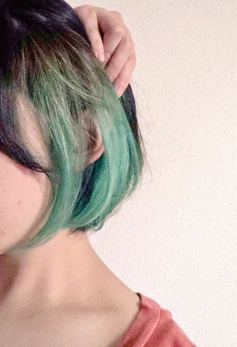 中染めてた時の写真出てきた 