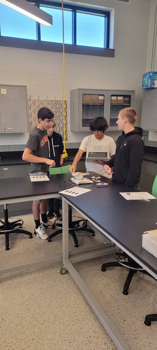 MsCBiology's tweet photo. AP Bio Ss performing their first activity in the new lab space. #apbio #statistics #oreostuff #ejshs https://t.co/cAgeqvYiEm