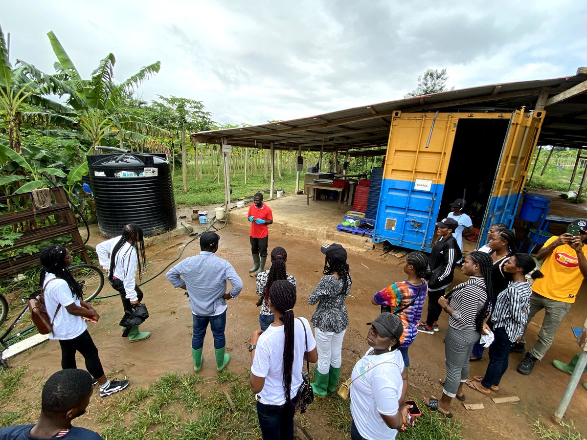 Yvaya Farm GH tweet media
