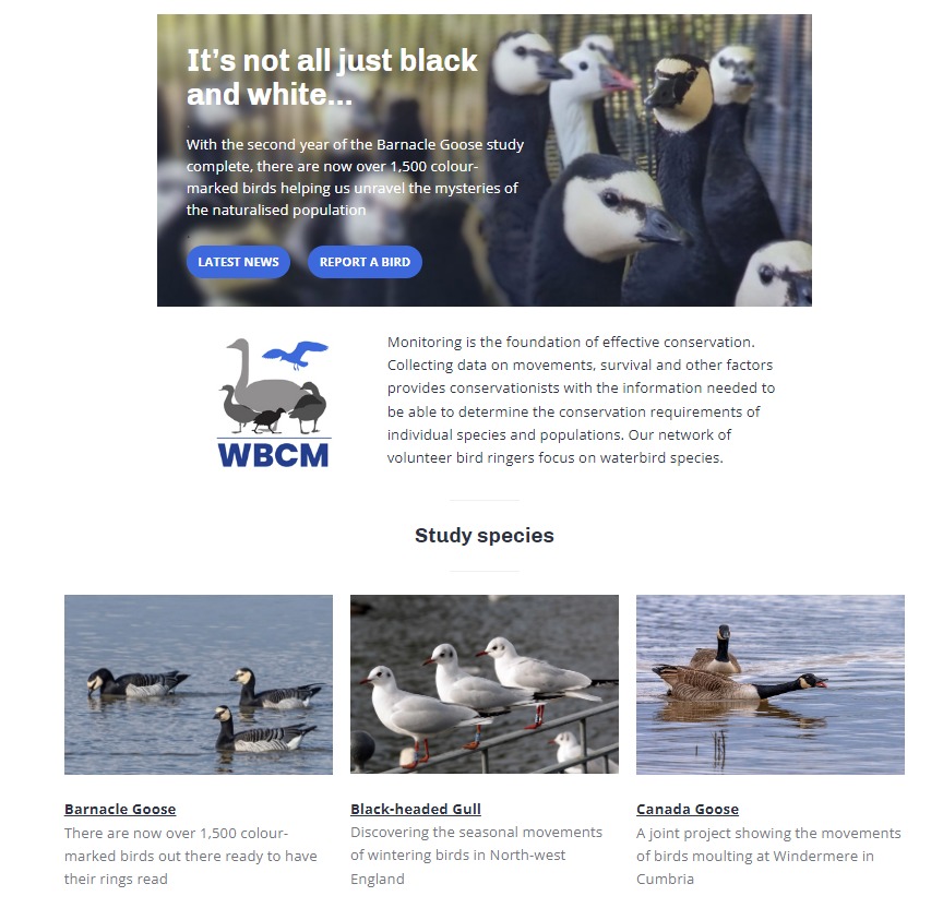 Waterbird Colour-marking Group tweet media