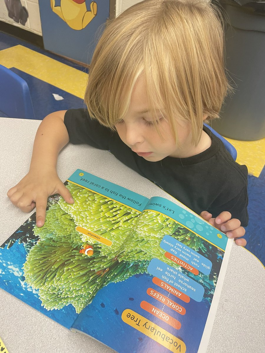 AGiarratano_'s tweet photo. Exploring our library encourages choice and interest while building a positive literacy environment for our future readers!📚💙 #prereading #earlyliteracy https://t.co/9pTweETgan