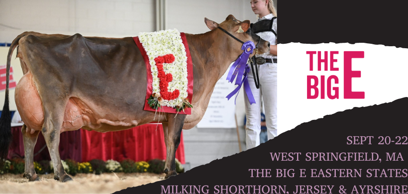 Join us as we cover the Jersey, Milking Shorthorn &amp; Ayrshire Shows at the BIG E! - mailchi.mp/a3590d24e48b/n…