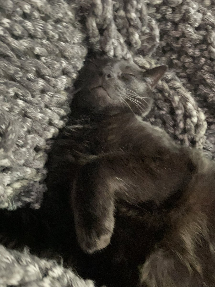 gettingraphic's tweet image. #Mondayvibes