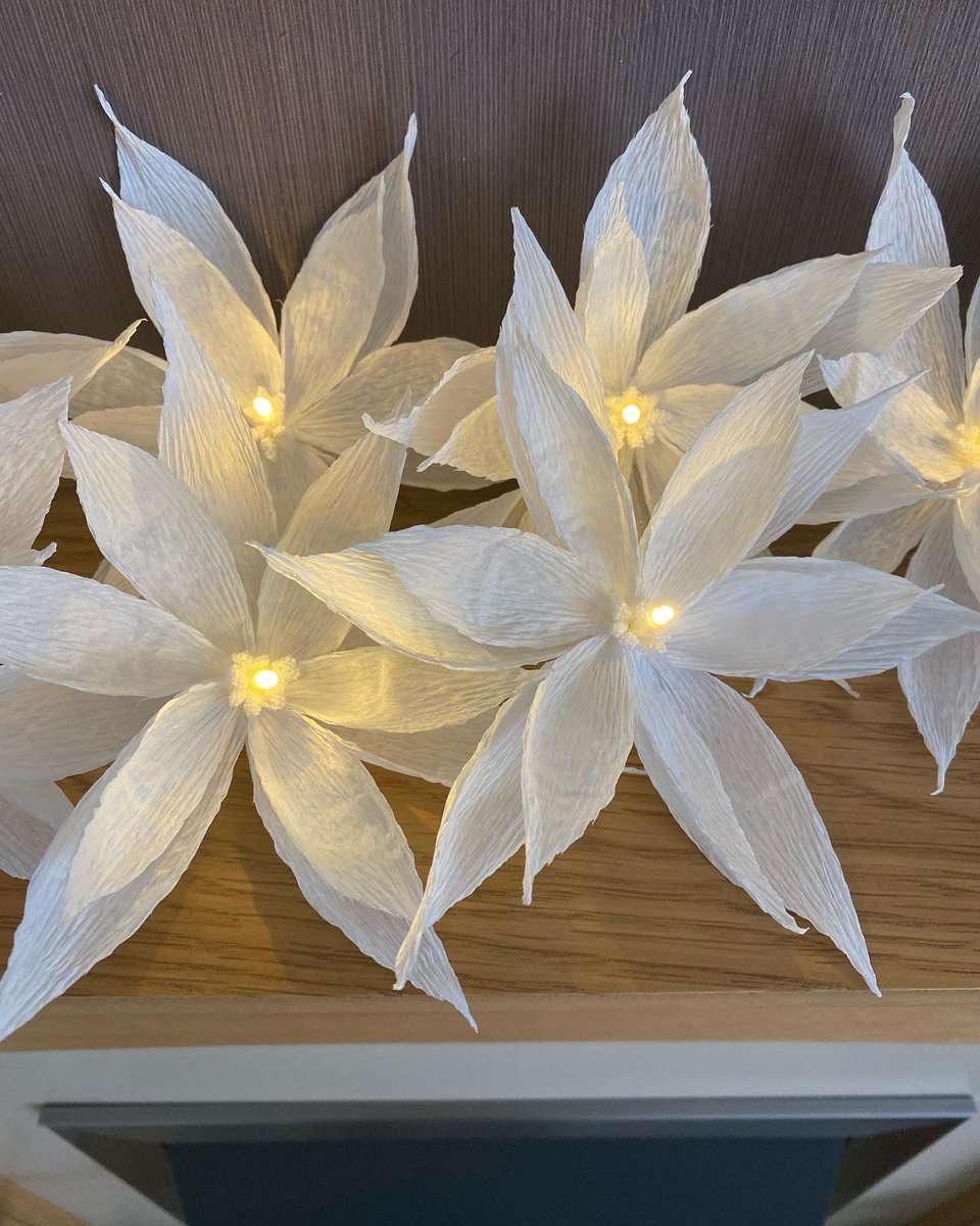 annagti93's tweet photo. Completed set of 10 LED lights ready for their New Home 😍#handmadebyme #handmadehour #handmadenation #sbs #flowers #home #decor #fairy #lights https://t.co/WXZ7OzMfvh https://t.co/6F8dVvB8S6