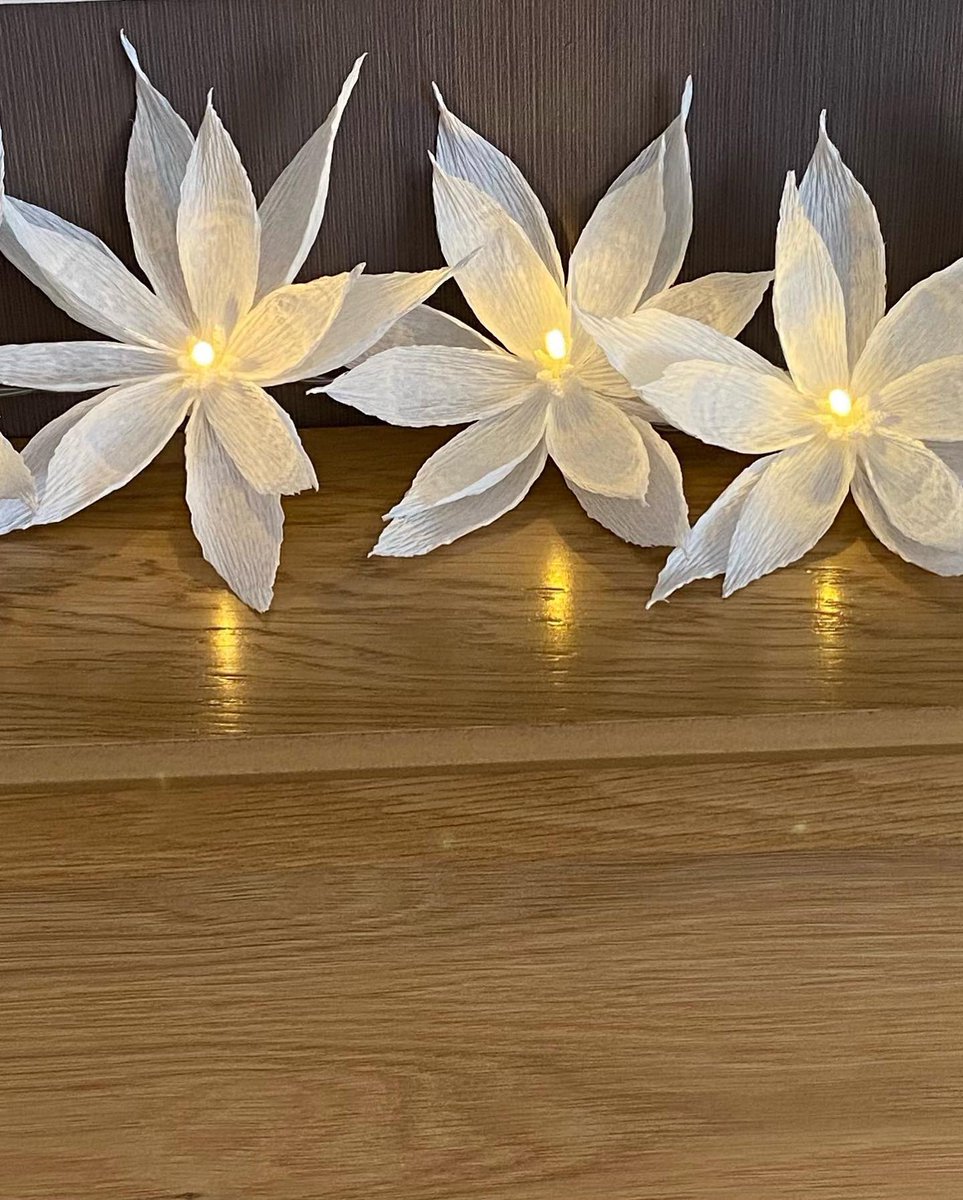 annagti93's tweet photo. Completed set of 10 LED lights ready for their New Home 😍#handmadebyme #handmadehour #handmadenation #sbs #flowers #home #decor #fairy #lights https://t.co/WXZ7OzMfvh https://t.co/6F8dVvB8S6