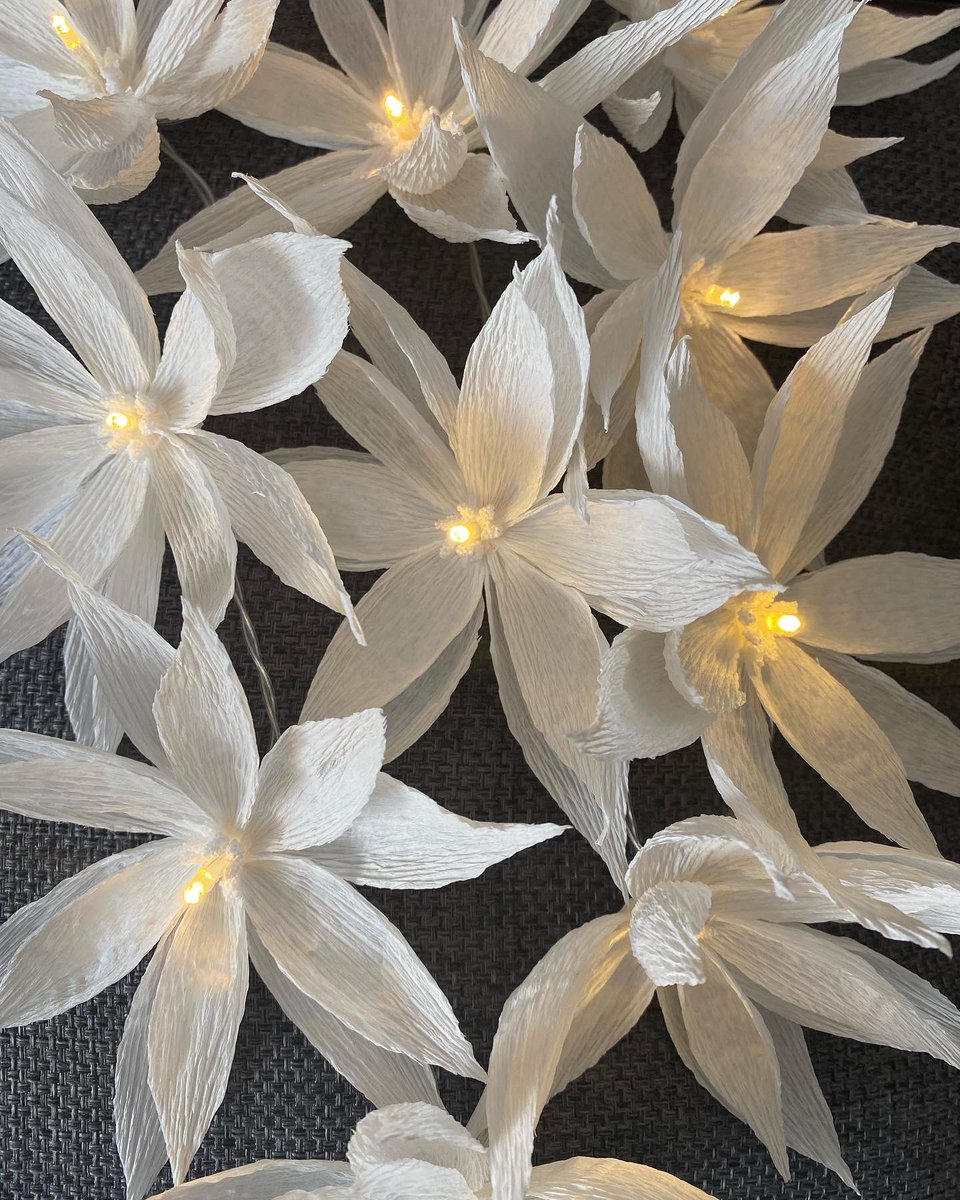 annagti93's tweet photo. Completed set of 10 LED lights ready for their New Home 😍#handmadebyme #handmadehour #handmadenation #sbs #flowers #home #decor #fairy #lights https://t.co/WXZ7OzMfvh https://t.co/6F8dVvB8S6
