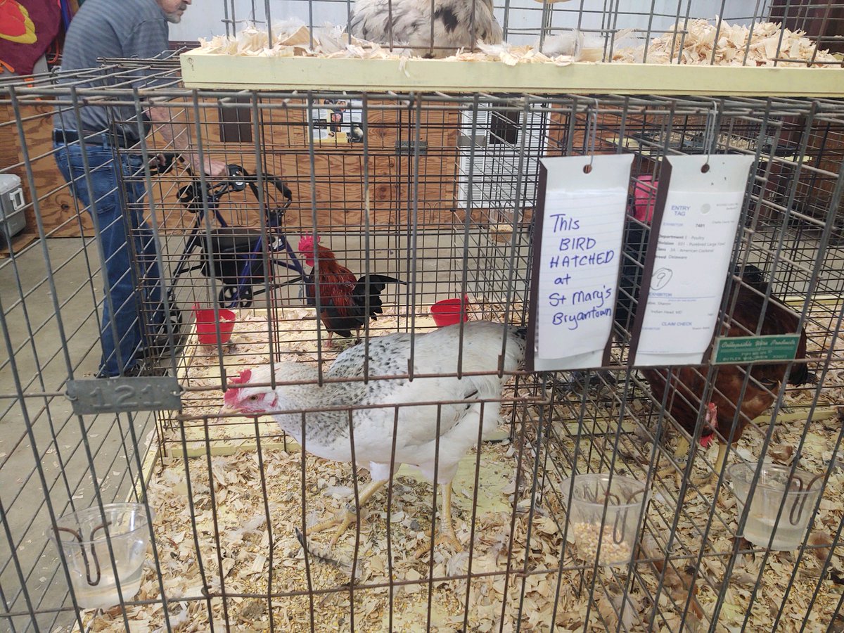 St. Mary's Bryantown tweet media