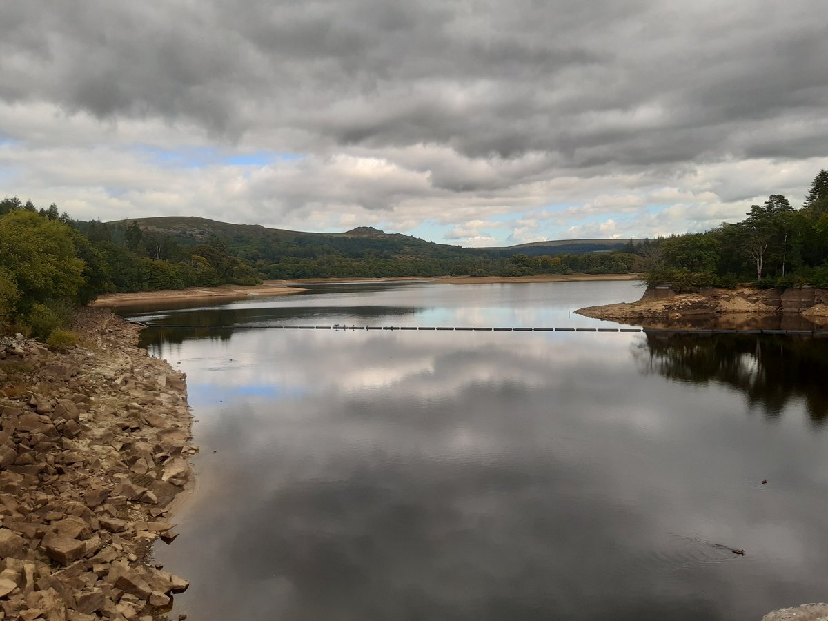 Simon Trevan 💙 tweet media