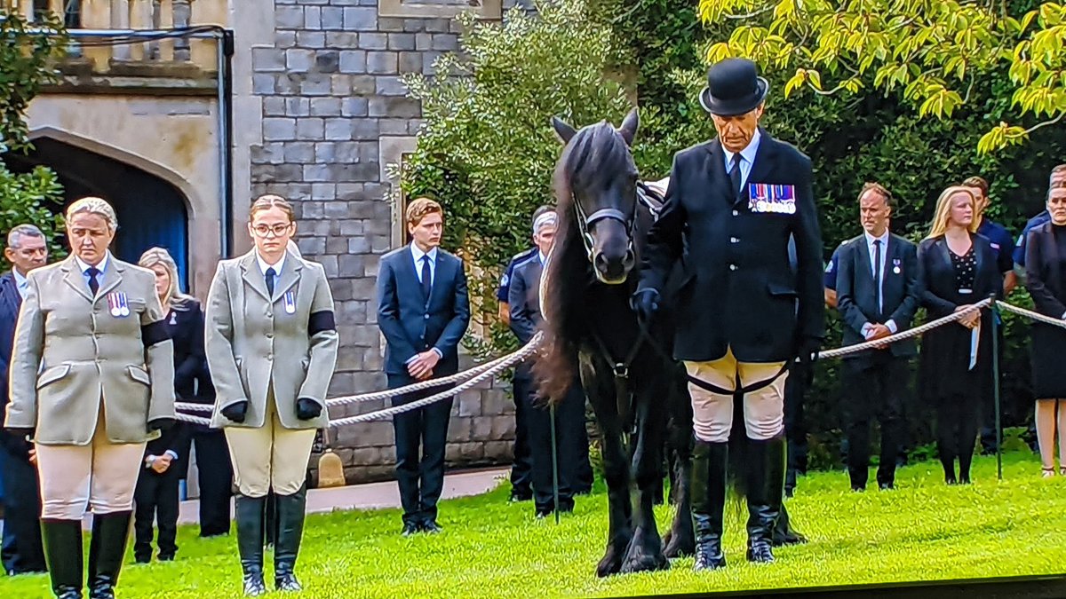 JerseyBaker tweet media