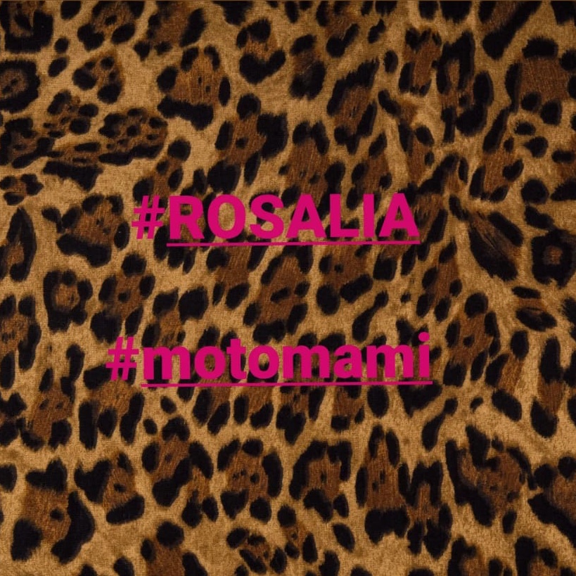 Ana Inés Jabares Pita tweet media