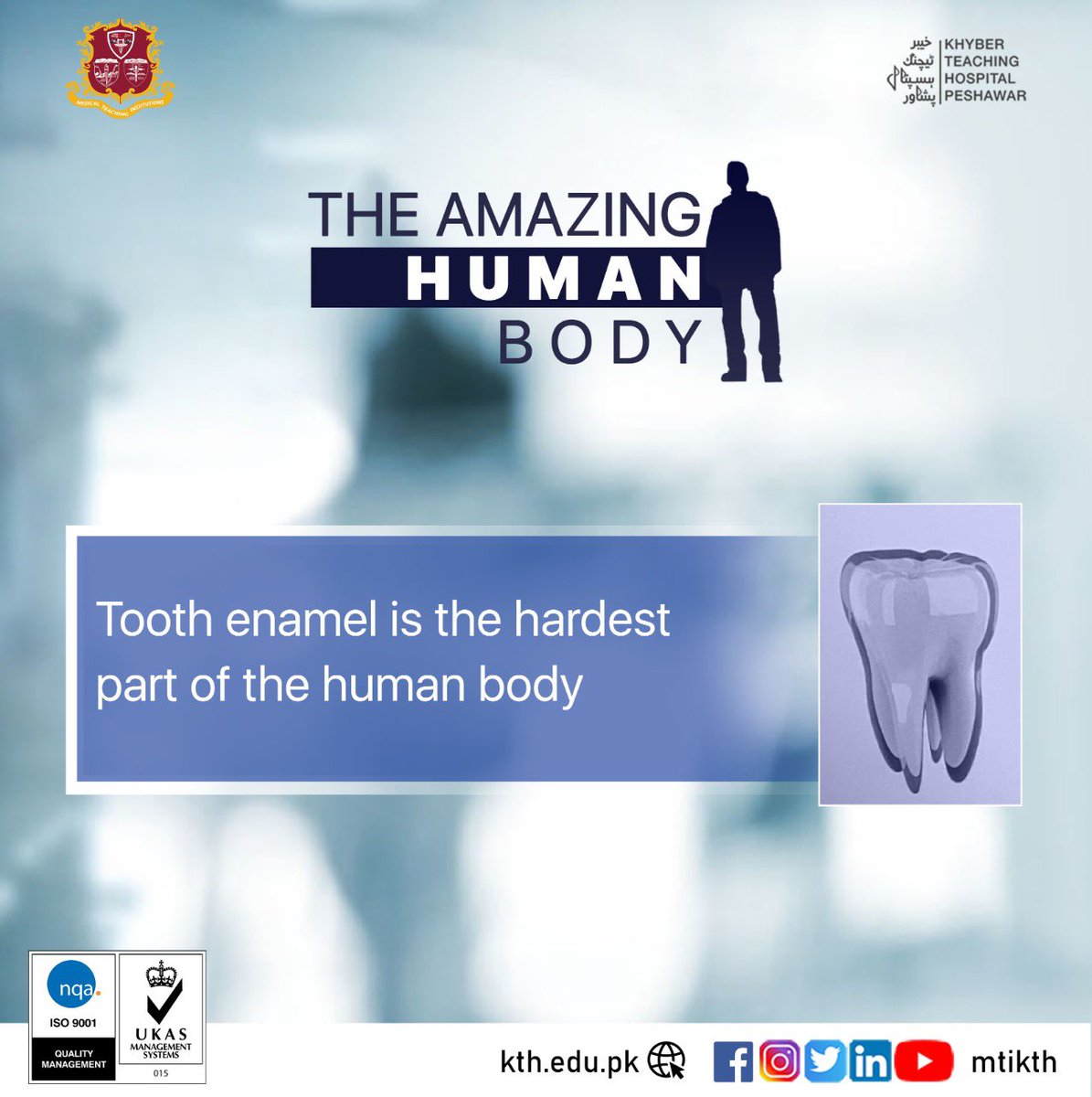 mtikth's tweet photo. An interesting fact about tooth enamel!
The shiny, white enamel that covers your teeth is even stronger than bone. This resilient surface is 96 percent mineral, the highest percentage of any tissue in your body-making it durable and damage-resistant.
#KTH #AmazingHumanBody https://t.co/uv986siFvX