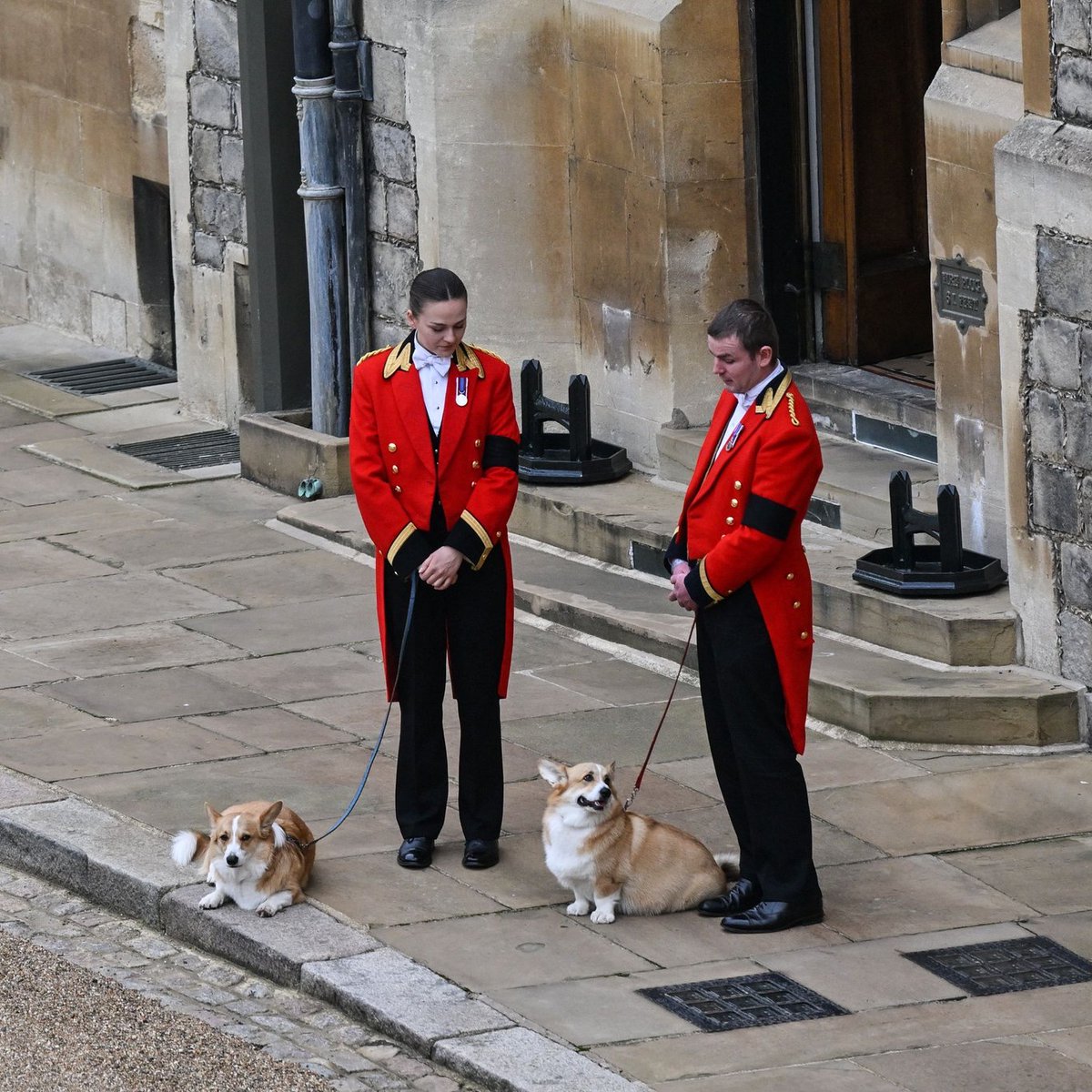 badgalvale's tweet photo. this photos broke my heart.

#QueenElizabethII 
#queensfuneral https://t.co/BpyWHM5mAc