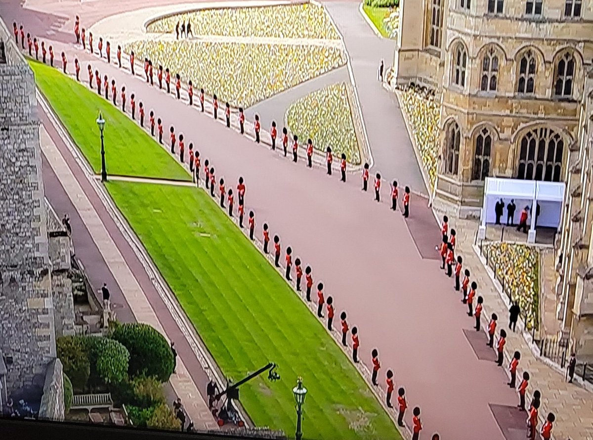 EVERY SINGLE SOLDIERS HAT WAS ONCE A BEAUTIFUL BLACK BEAR.
It takes an entire bear, to make just one of those hats.
The queen ( animal lover ? NO) refused to stop this hideous practice.