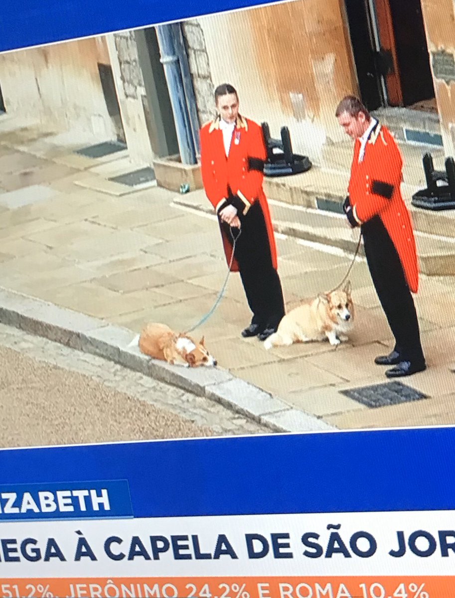 zzamor_animais's tweet photo. #rainhaelizabeth A RAINHA ELIZABETH AMAVA CAVALOS E CÃES,principalmente da raça CORGI .Vejam dois deles esperando a “mami” chegar á sua última morada!!Ficarão com o príncipe Andrew . https://t.co/1ojWQI8I8x