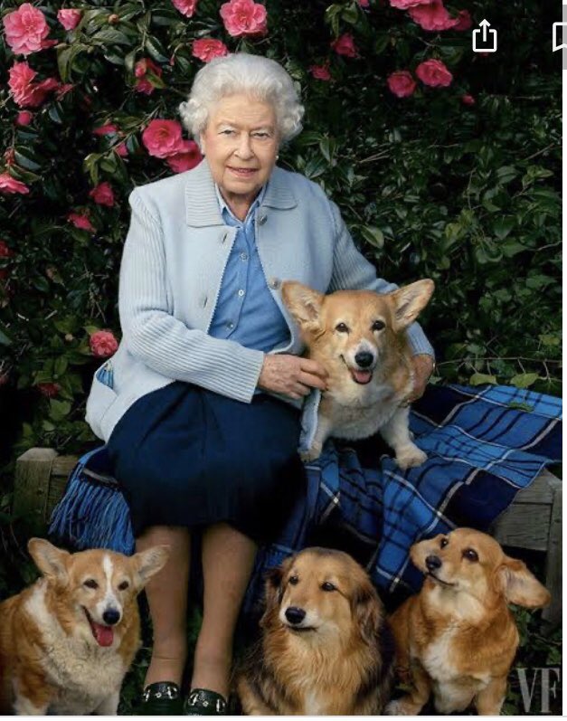 zzamor_animais's tweet photo. #rainhaelizabeth A RAINHA ELIZABETH AMAVA CAVALOS E CÃES,principalmente da raça CORGI .Vejam dois deles esperando a “mami” chegar á sua última morada!!Ficarão com o príncipe Andrew . https://t.co/1ojWQI8I8x