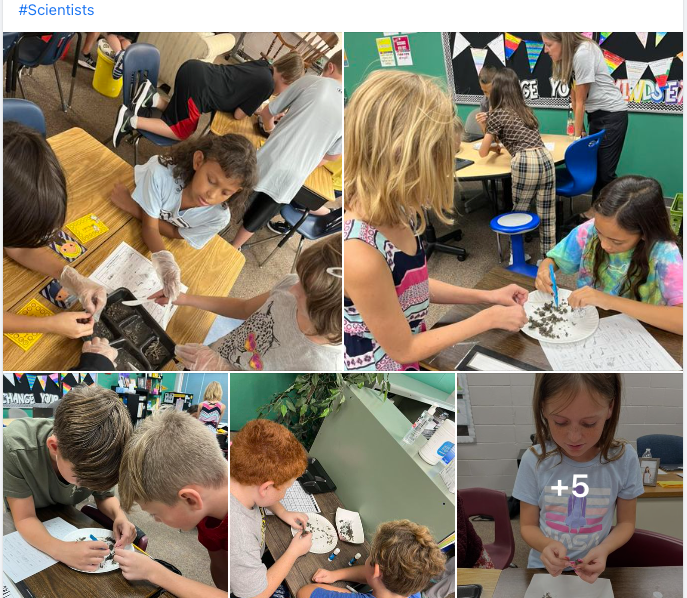 SEPSchools's tweet photo. Whoooo's having fun in Science Class? Willowbrook's 5th graders are learning about ecosystems. Working together, the students are digging into owl pellets! #1SEP https://t.co/zTMNeaOJLY