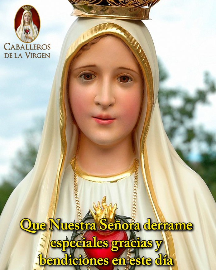 Caballeros de la Virgen tweet media