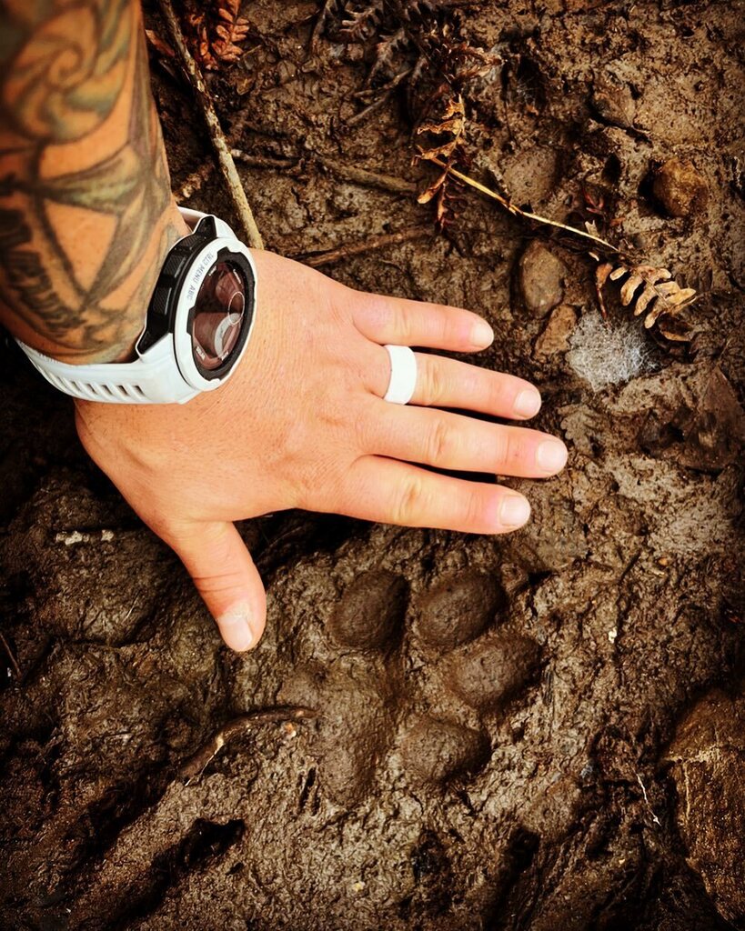 JeremysArt's tweet photo. A perfect front paw print 🐾 of a wolf. How do I know it’s a wolf print and not just a dog you ask? There are absolutely no dogs on Isle Royale! 🐺
-
#wolf #wolfprint #wolfpaw #pawprint #gooutside #getoutside #adventure #nationalpark #isleroyale #is… https://t.co/gTLyFLnc58 https://t.co/D7zNNrn6ve