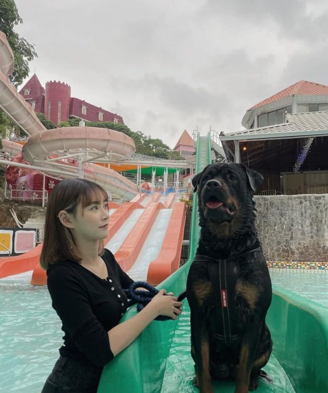 Ruby18038516's tweet image. No matter how vague dreams are, they always lurk in our hearts, so that our state of mind will never be quiet until these dreams become reality; like seeds in the ground, they must sprout and grow, stick out from the ground, and look for sunshine.