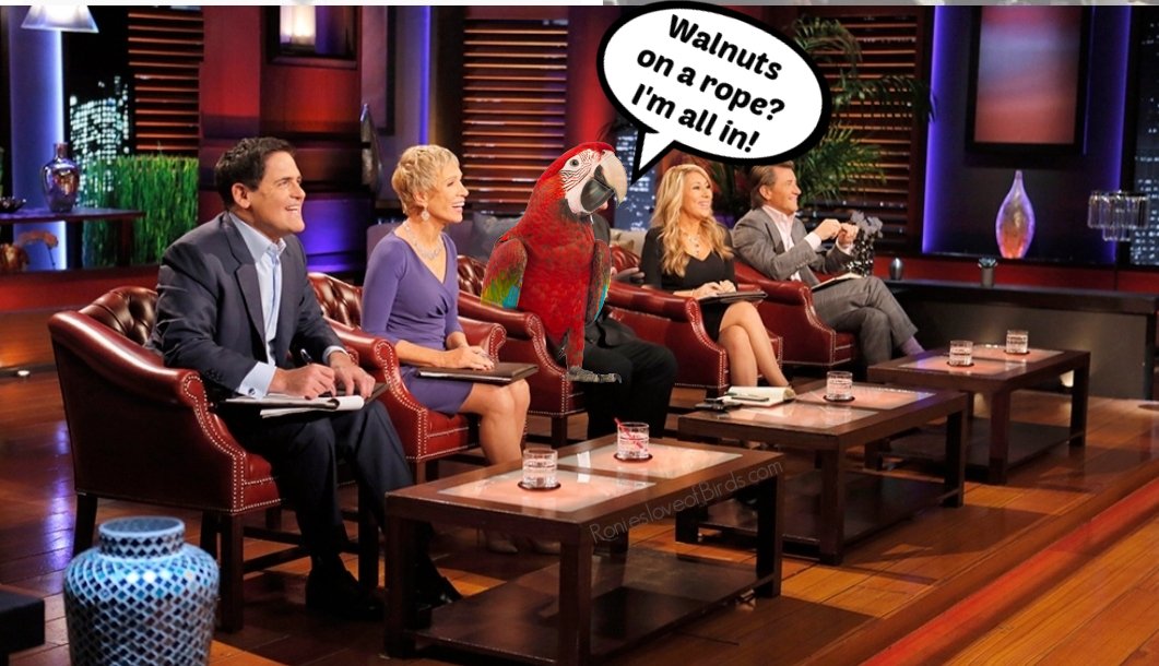 Ronies for The Love Of Birds tweet media