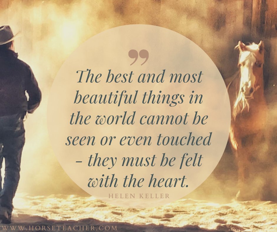 SteveRother's tweet photo. "The best and most beautiful things in the world cannot be seen or even touched - they must be felt with the heart." ~Helen Keller

https://t.co/6LwucqIekO
#MotivationalMonday #Horses #RotherHorsemanship #Heart https://t.co/ZZ7ydh6aeX