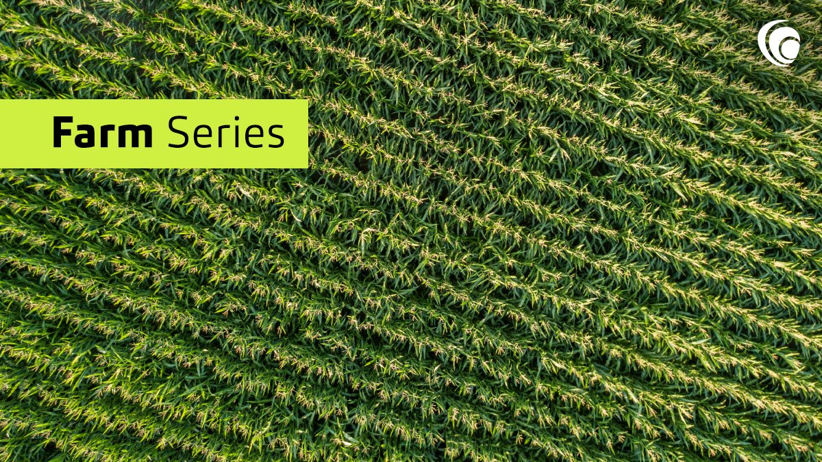 bakertillycan's tweet photo. Giving #farm #businesses credit. In the new #FarmSeries blog post, #BakerTillySK’s Ryan Kitchen looks at the return of the fuel charges tax credit, which can still be claimed retroactively for 2021. Learn more: https://t.co/5pC7WpPrAh https://t.co/bB16RDYOPc