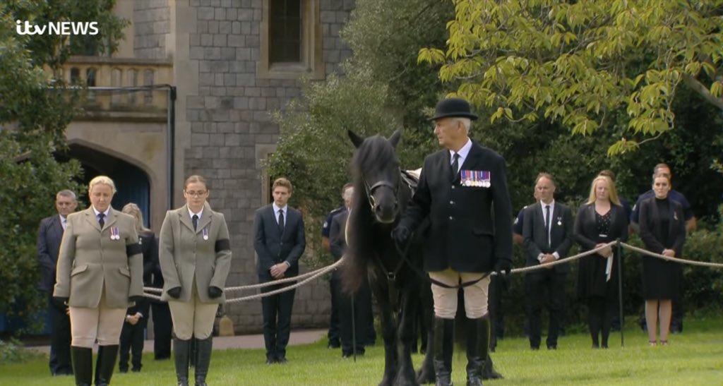 MrJackMcLaren's tweet image. They’ve brought the Queen’s horse, #Emma out, and her Corgi’s, #MuickandSandy, waiting for Her Majesty #QueenElizabeth, to say goodbye. It’s the little things. 😢 #QueensFuneral