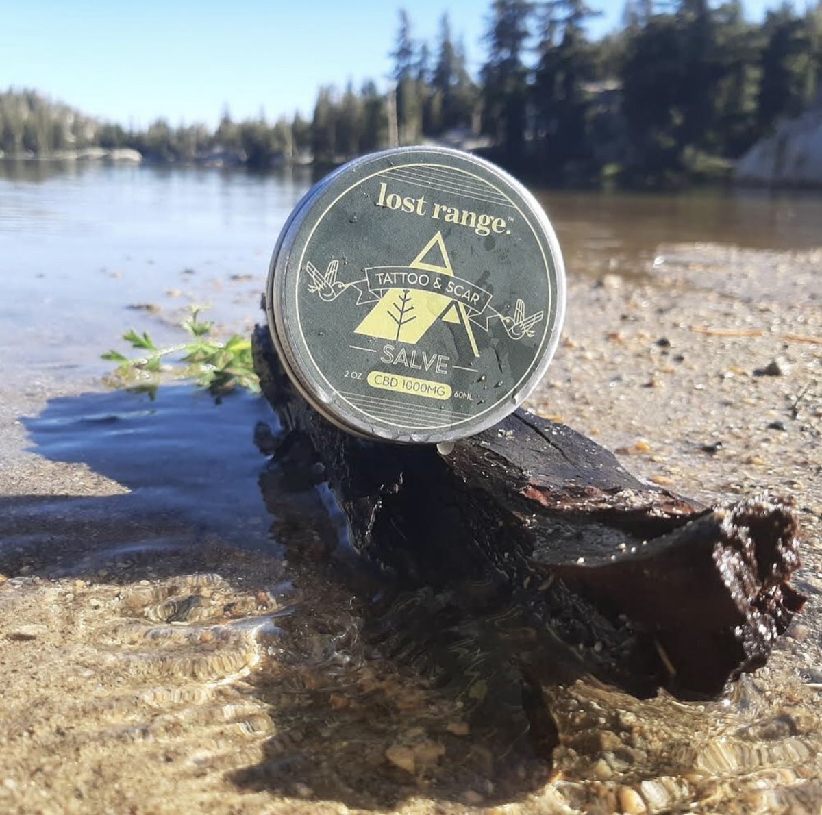 lost_range's tweet photo. It’s #TattooStoryDay, and we want to know your ink story! ✍️

lost range® #CBD #Tattoo &amp; #ScarSalve uses Colorado grown hemp to soothe and revitalize damaged skin!

Shop here: https://t.co/WzC0adbNMQ

#tattoostory #tattoosalve #tattooaftercare #tattoocream #tattoohealing https://t.co/xqVfNqcQXB